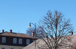 Nepriklausomybės aikštės liepos įgavo formą. A.Minkevičienės nuotr.