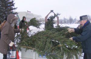 Prie eglių šakų – būriai žmonių Miškininkų akcija „Parsinešk Kalėdas į namus“ vakar po pietų į aikštę sutraukė būrius žmonių. L.Dūdaitės nuotr.