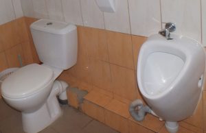 Taupymo paradoksai: progimnazijos klozete – karštas vanduo Tokio brangaus klozeto kitur Rokiškyje