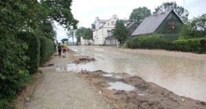 Liūtis skandino Kauno gatvę. N.Byčkovskio nuotr.