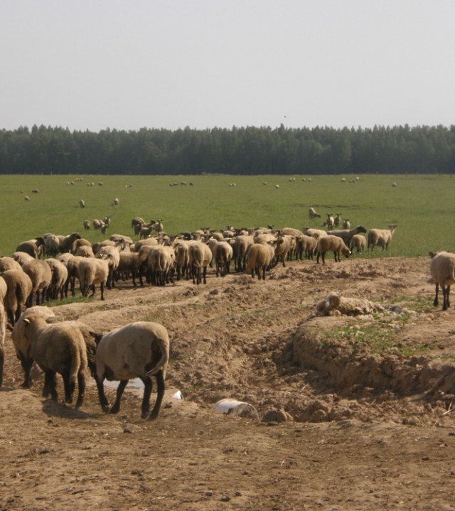 Jei Lūžų šeimai nepavyktų išsaugoti prie sodybos esančios 75 ha žemės Jei Lūžų šeimai nepavyktų išsaugoti prie sodybos esančios 75 ha žemės