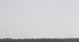 Avių augintojai sako