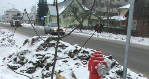 Respublikos gatvėje siautėjo vandalas. N.Byčkovskio nuotr.