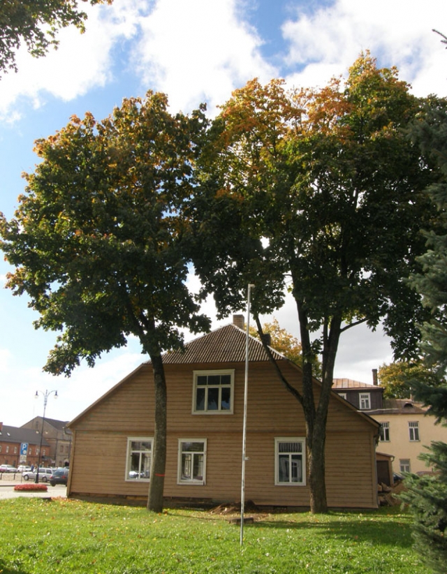 Senieji medžiai Senieji medžiai