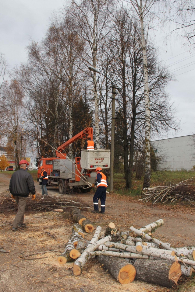 A.Strazdelio gatvės pažeisti medžiai kelia pavojų. D.Zibolienės nuotr.