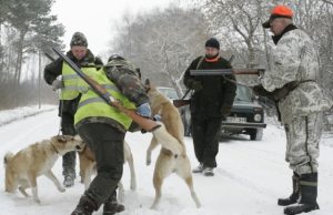 Medžioklė su varovais - pramoga ne tik medžiokliams