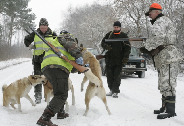 Medžioklė su varovais - pramoga ne tik medžiokliams