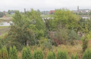 Rasų gatvės 8-ojo namo gyventoja Marytė Bakšienė piktinosi pro langą matomu šabaltynu.