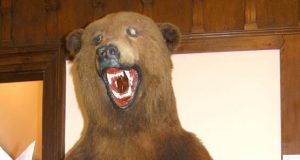 Krašto muziejaus meška liko be nago. L.Dūdaitės nuotr.