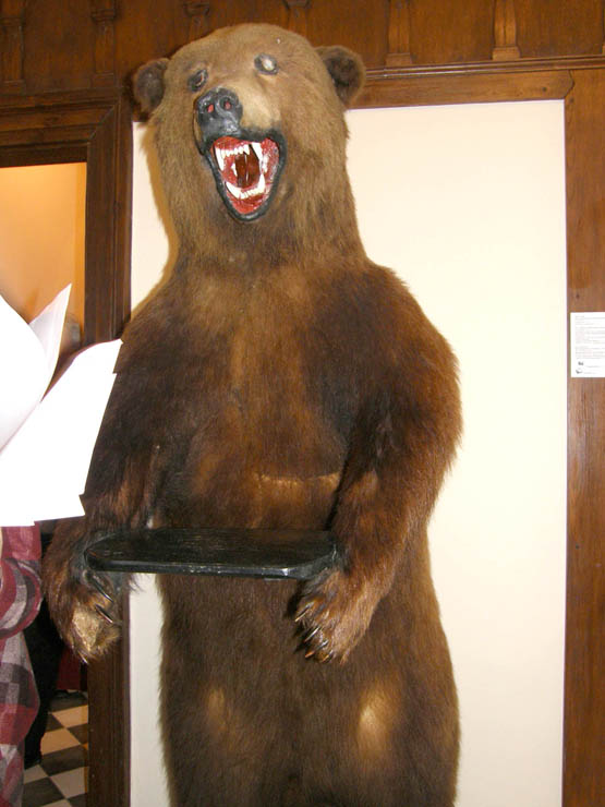 Krašto muziejaus meška liko be nago. L.Dūdaitės nuotr.