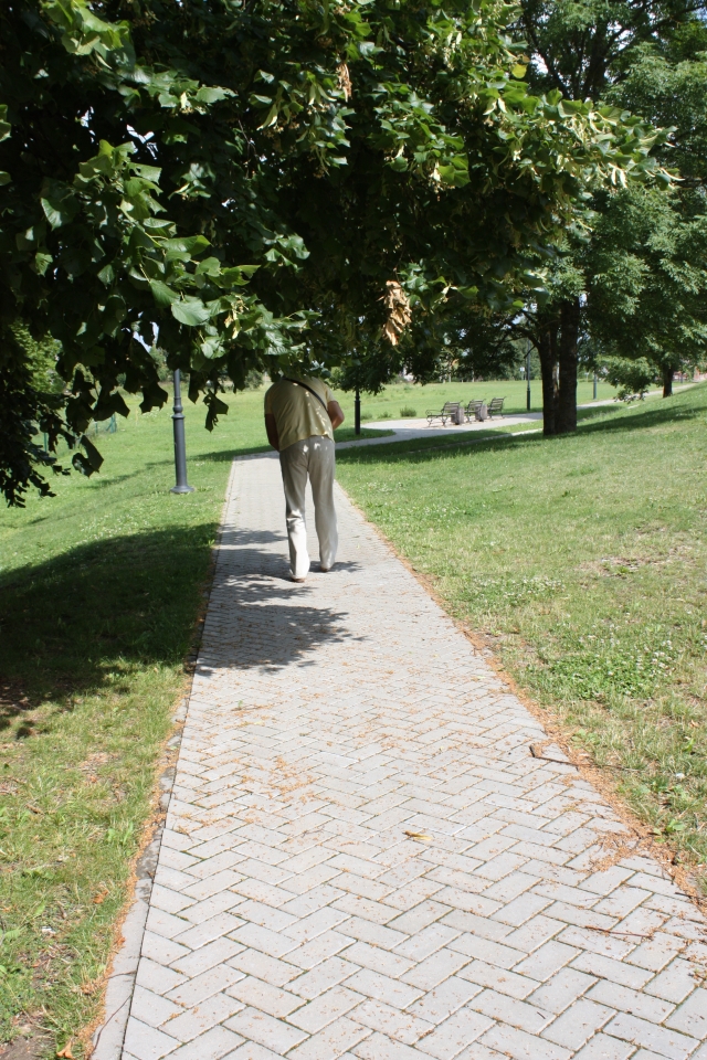 Net ir žemaūgiams žmonėms einant šiuo pėsčiųjų taku tenka nusilenkti liepų vainikui. Net ir žemaūgiams žmonėms einant šiuo pėsčiųjų taku tenka nusilenkti liepų vainikui.