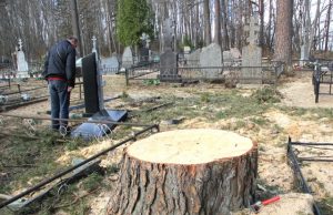 Miliūnų kapinėse paminklą „nušlavė“ ne pušis