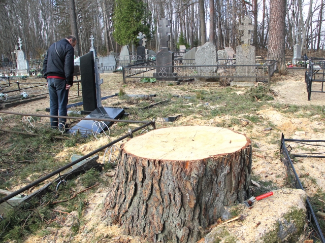 Miliūnų kapinėse paminklą „nušlavė“ ne pušis