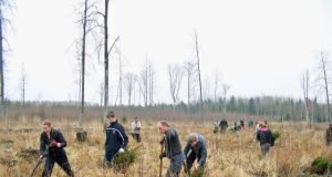 Kasmet miškų urėdijai talkina ir jaunieji miško bičiuliai