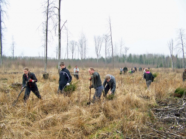 Kasmet miškų urėdijai talkina ir jaunieji miško bičiuliai
