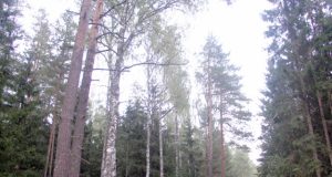 Miškų savininkų susutikimo akimirka. Organizatorių archyvo nuotr.