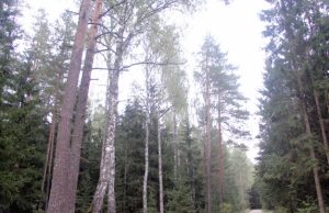 Miškų savininkų susutikimo akimirka. Organizatorių archyvo nuotr.