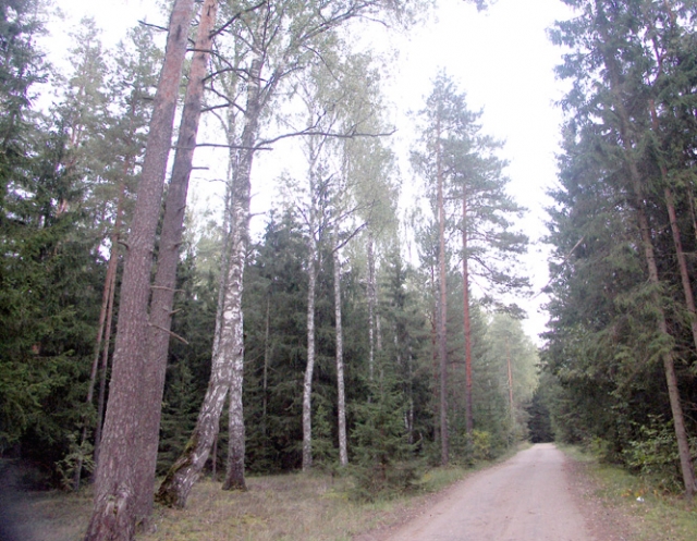 Miškų savininkų susutikimo akimirka. Organizatorių archyvo nuotr. Miškų savininkų susutikimo akimirka. Organizatorių archyvo nuotr.