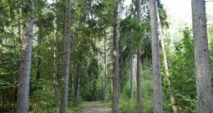 Redakcijos archyvo nuotr.