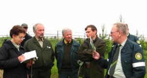 Europos miške užvirė karštos diskusijos apie miško veisimą