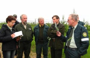 Europos miške užvirė karštos diskusijos apie miško veisimą