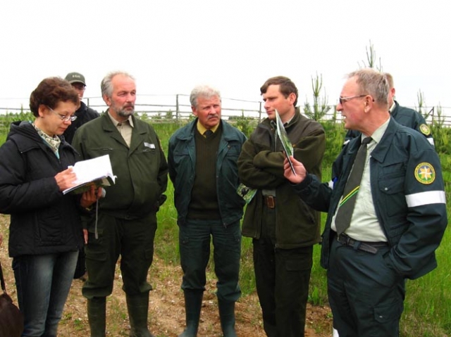 Europos miške užvirė karštos diskusijos apie miško veisimą