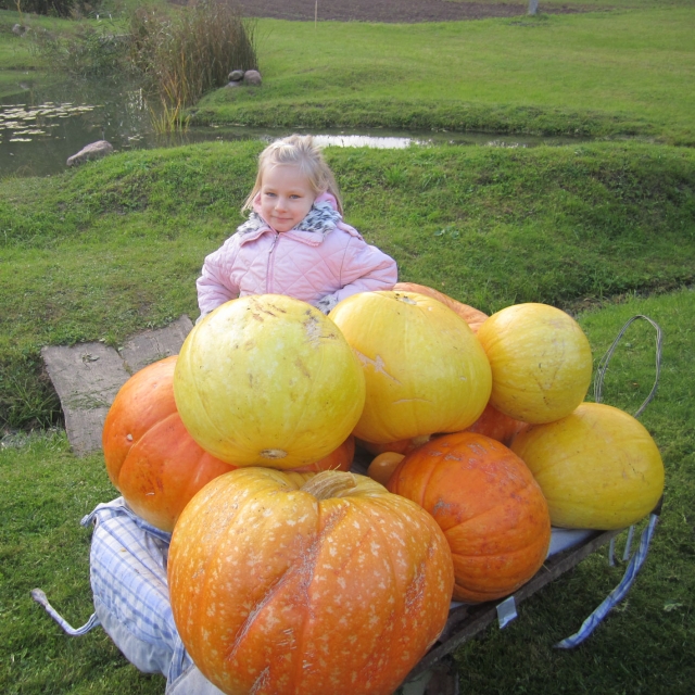 Dariaus Šeškaus nuotr.