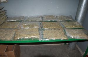 Muitinė sunaikino 200 pakuočių su narkotikais Sunaikinti atvežtos pakuotės. Muitinės archyvo nuotr.