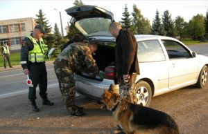 Ieškoti narkotikų mūsų pareigūnams padėjo kolegos kinologai iš Panevėžio ir specialiai apmokyti jų keturkojai. PK archyvo nuotr.
