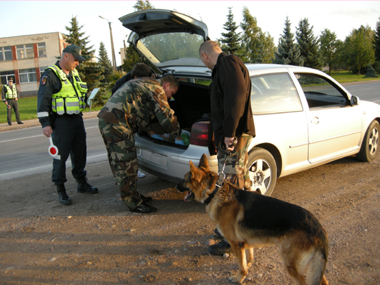 Ieškoti narkotikų mūsų pareigūnams padėjo kolegos kinologai iš Panevėžio ir specialiai apmokyti jų keturkojai. PK archyvo nuotr.