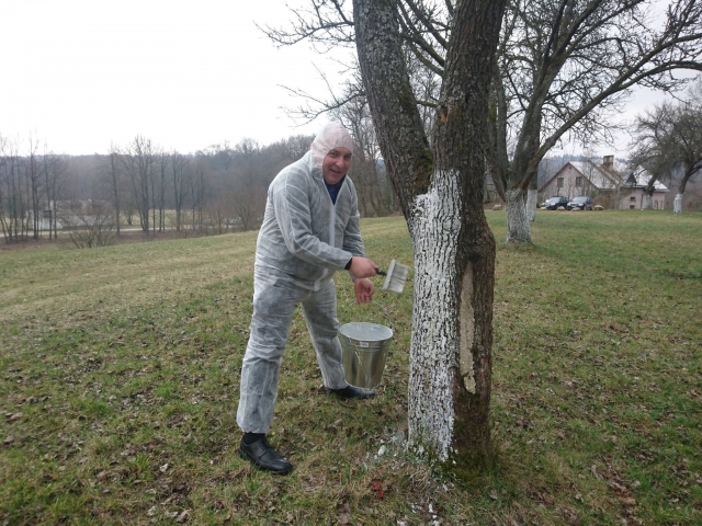 Pūčkorių sode talkininkauja 