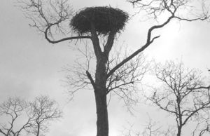 Neganda. Autorės nuotr.