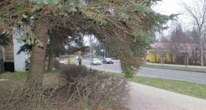 Šioje Kauno gatvės vietoje netoli bendrabučio rastas smarkai sužalotas Rimvydas Strazdas
