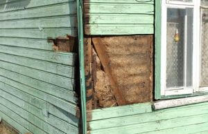 Tokios šiandien "Žaliosios" pastato sienos.