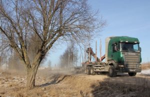 Dulkių kamuoliai kyla net ir tada