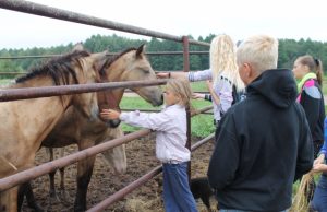 Daugiausia įspūdžių vaikams paliko apsilankymas Dusetų žirgyne. Vidos Žaržojienės nuotr.