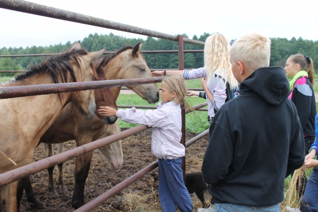 Daugiausia įspūdžių vaikams paliko apsilankymas Dusetų žirgyne. Vidos Žaržojienės nuotr.