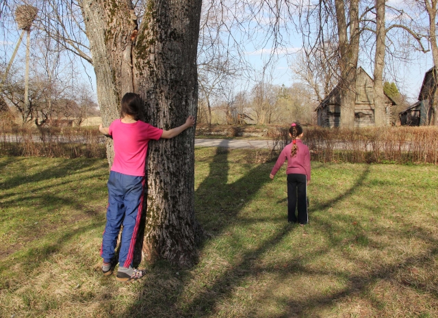 Medis širdelės gal nesušildys