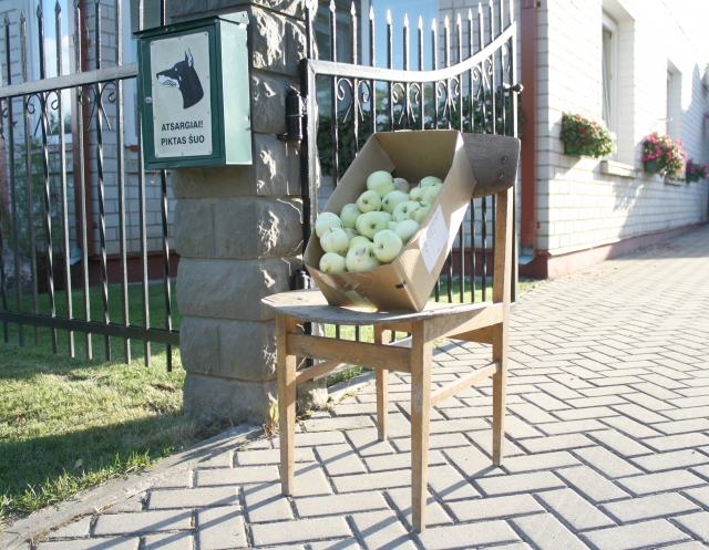 Panašų vaizdą galima pamatyti ne tik Kęstučio