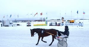 Ttradicinės Sartų žirgų lenktynės įvyks.