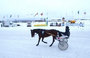Ttradicinės Sartų žirgų lenktynės įvyks.