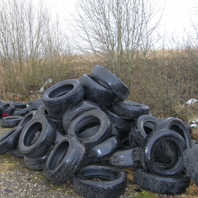 Šiukšlių tvarkymo galimybių studija rajono biudžetą paplonins 10 tūkst. litų. Ar ji padės apginti rajono miškus ir pakeles nuo sąšlavų kalnų? D.Zibolienės nuotr.