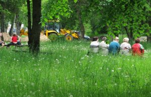 Ar šią savaitę bus nušienautas Taikos gatvės parkas? N.Byčkovskio nuotr.