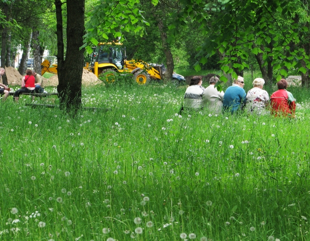 Ar šią savaitę bus nušienautas Taikos gatvės parkas? N.Byčkovskio nuotr. Ar šią savaitę bus nušienautas Taikos gatvės parkas? N.Byčkovskio nuotr.
