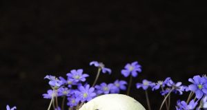 Velykų stalui – anties krūtinėlė per dešimt minučių ir pyragas kiaušinių lukštuose