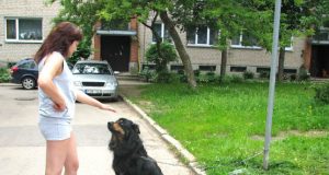 Protingas šuo vis dėlto pametė namus. N.Byčkovskio nuotr.