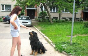 Daugiabučių gyventojai susirūpino pamestinuku Protingas šuo vis dėlto pametė namus. N.Byčkovskio nuotr.