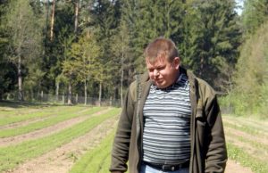 Romualdas Petronaitis rodė pernai pavasarį pasėtų ir ką tik baigtų ravėti pušaičių ežias. Į miškus jos iškeliaus po trejų metų.