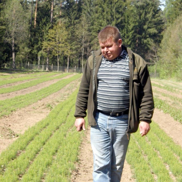 Romualdas Petronaitis rodė pernai pavasarį pasėtų ir ką tik baigtų ravėti pušaičių ežias. Į miškus jos iškeliaus po trejų metų.