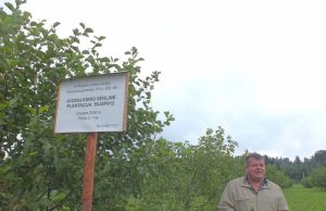 „Jeigu ant šių juodalksnių pakabintume obuolių